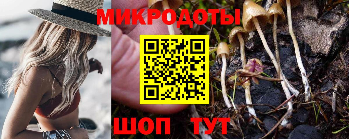Галлюциногенные грибы MAGIC MUSHROOMS Будённовск