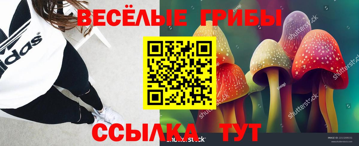 Галлюциногенные грибы Cubensis  Вход с VPN  Будённовск  Псилоцибиновые грибы мицелий 